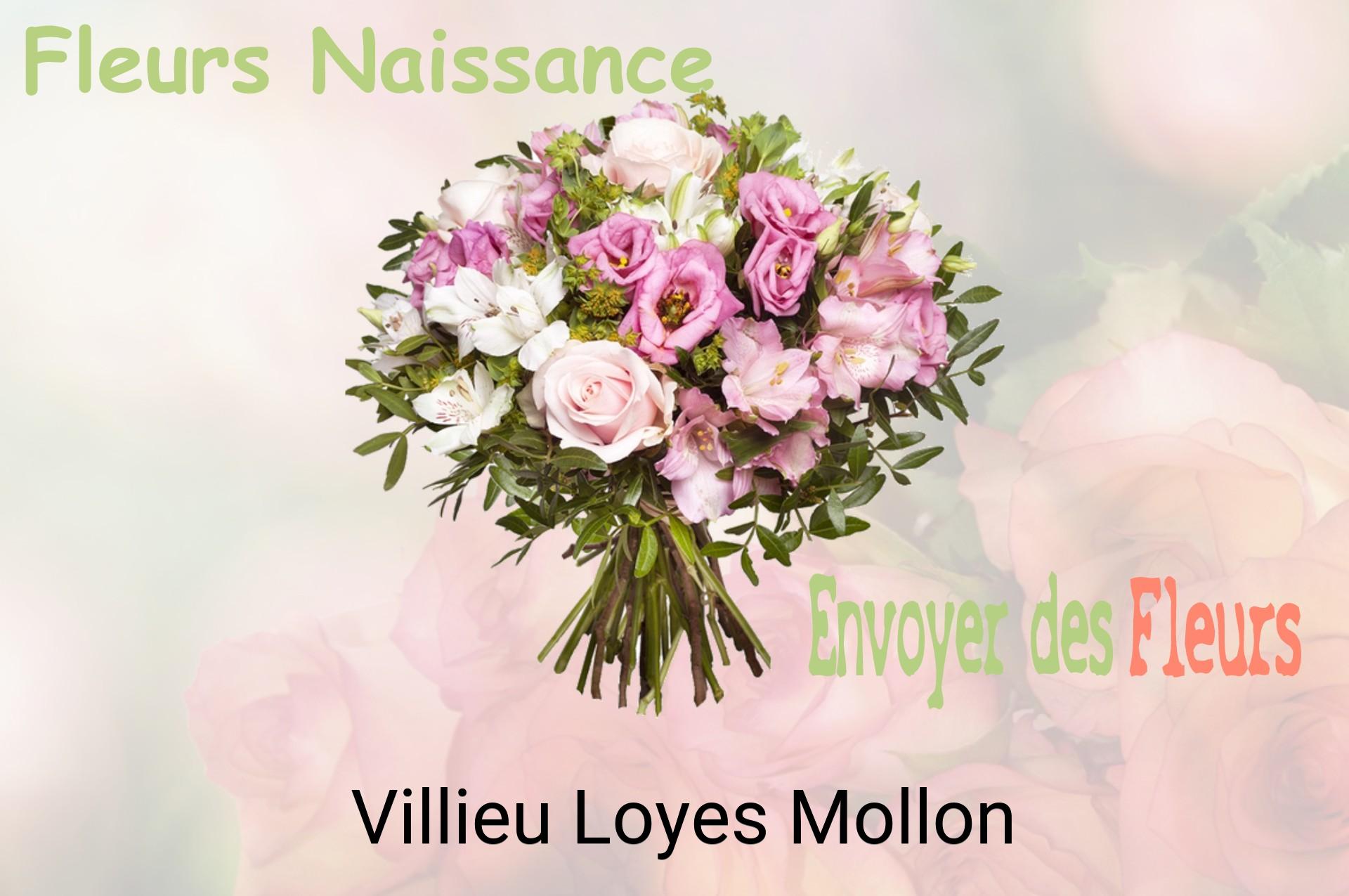 Bouquet de fleurs de naissance livré à Villieu-Loyes-Mollon